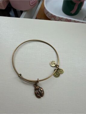 Alex and Ani Gold Tone Bangle Bracelet with Ladybug Charm
